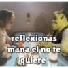 reflexionas mana el no te quiere