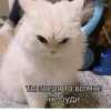 Создать стикеры| 12