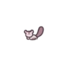 Sugar Glider Mickey's Daily Life 11
