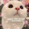 Alhttps://vk.com/ Internet prinse CC 3 нужно тебя срочно поцеловац 3