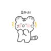 My cute white tiger. 8