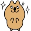 The world's happiest animal, Quka! 12