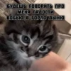 котRта и мYдрые мысли 2 12