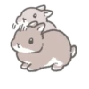 Quiet bunnies 12