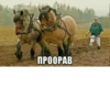 ПРООРАВ