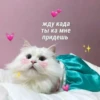 жду када Ты ка мне придешь
