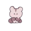 Sugar Glider Mickey's Daily Life 15