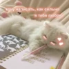 хочу написать, как сильно я тебя люблю TS LE EVYTHING ROUND ME