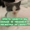 котRта и мYдрые мысли 2 13