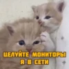 котRта и мYдрые мысли 2 14
