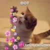 T a a a 143-1 love you BOT 143 K тебя люблю