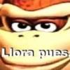 Llora puas