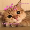 И визу моё стястье Сматлю на тебя
