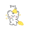 My cute white tiger. 13