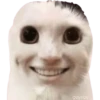 geysioy