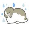 Quiet bunnies 16