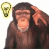 Funny little monkeys 🤣 9