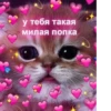 у тебя такая милая попка