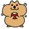 The world's happiest animal, Quka! 17