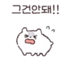 Fluffy hamster Bosongham 11