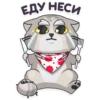 Manul_nsk 6