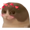 geysioy