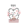 My cute white tiger. 17