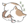 Kitty Yuan 25