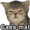 @paraguayita_01 Caes mal