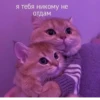 я тебя никому не отдам