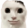 geysioy