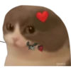geysioy