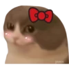 G geysioy