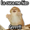 La cuca me hizo Grrrr!!