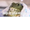 норм движуха