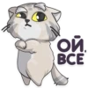 Manul_nsk 8