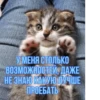 котRта и мYдрые мысли 2 19