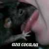 DAMEDAMEDO & RINA :: 21