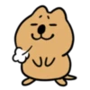 The world's happiest animal, Quka! 20