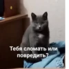 Создать стикеры| 23