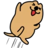The world's happiest animal, Quka! 21