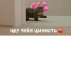 иду тебя цмокать