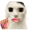 geysioy