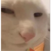 Слишком близко