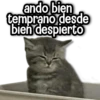 ando bien temprano desde bien despierto