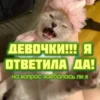 котRта и мYдрые мысли 2 21