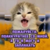 котRта и мYдрые мысли 2 22