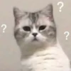 ? ? ?