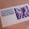 DAMEDAMEDO & RINA :: 25