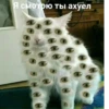 Я смотрю ты ахуел